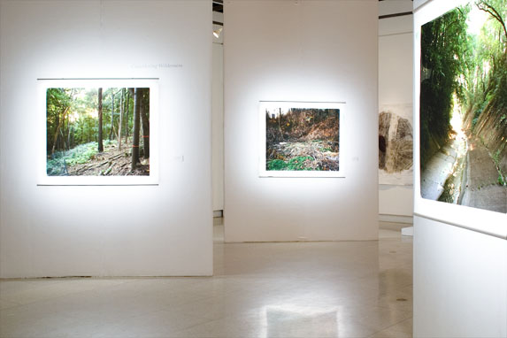 Considering Wilderness: exhibition view